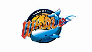 媒体人：四川队投资人近日发表声明 称在积极推进工作处理问题