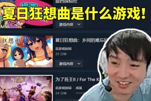 Letme调查好友steam看到阿芙库存笑嘻了：夏日狂想曲是什么游戏！
